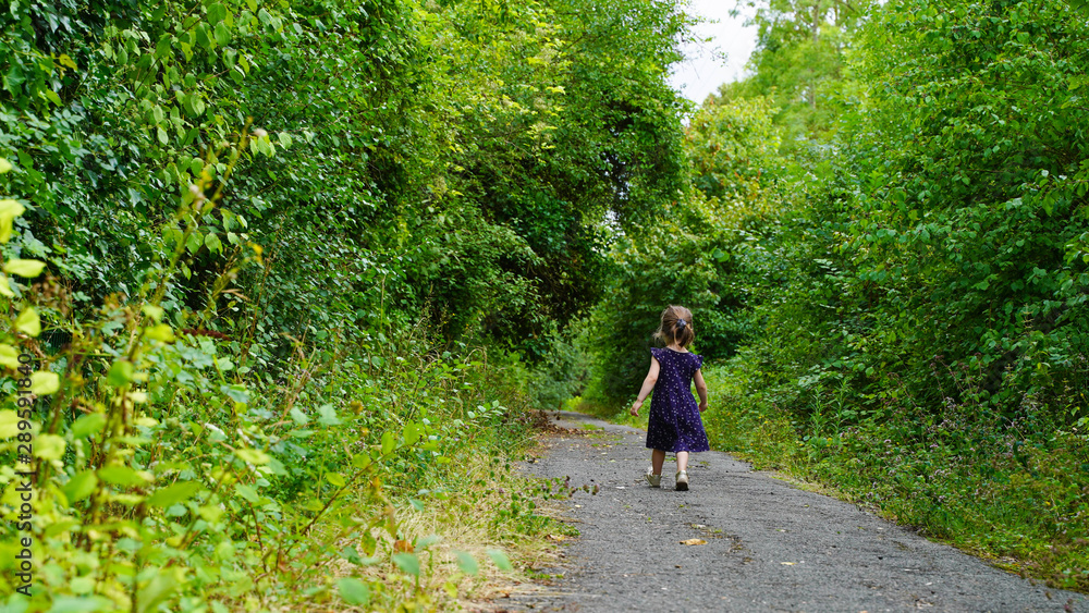 enfant marche dans la forêt enfant marche dans la forêt