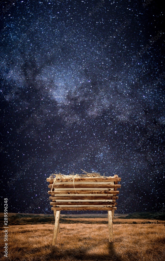 Old wooden cradle with hay in a field and under a starry sky - obrazy, fototapety, plakaty 