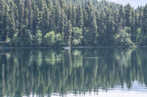 Reflection of trees on the water
