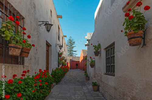 An alley with red geranium inside the Santa Catalina Convent with cloister nuns, in the city center of Arequipa, Peru.
