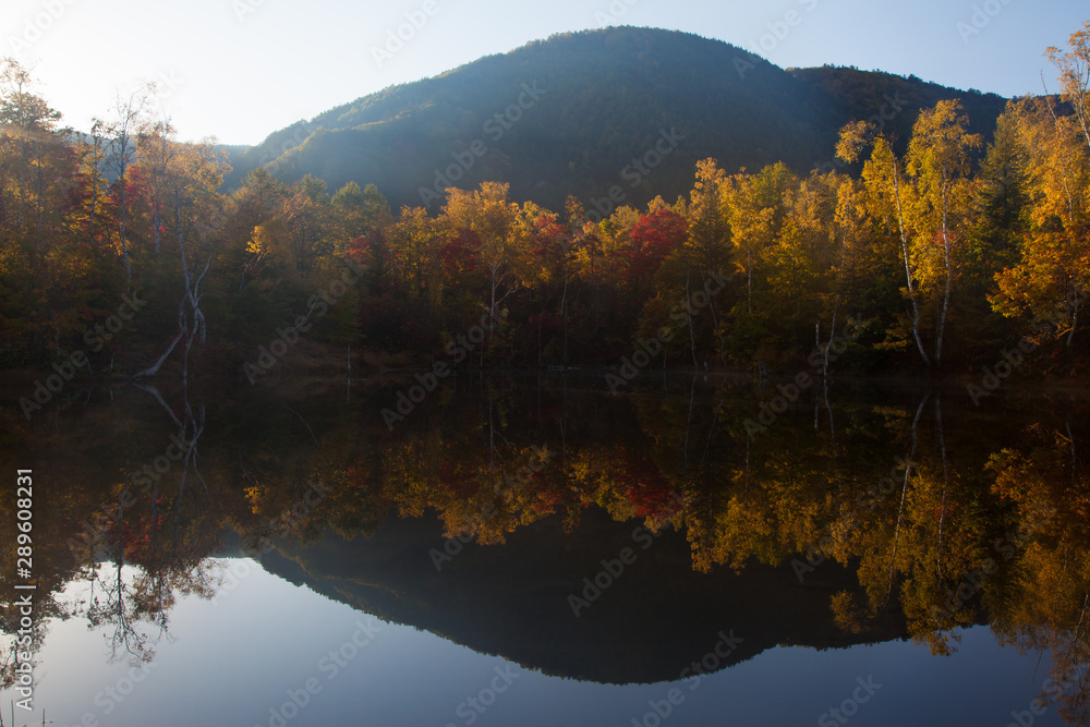 Fototapeta premium 朝日で輝く紅葉とその風景の湖面の映り込みが美しい