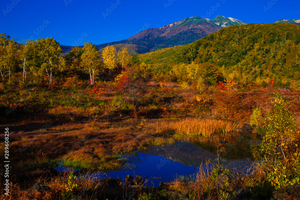 乗鞍高原から望む乗鞍岳と秋の紅葉の絶景 乗鞍高原から望む乗鞍岳と秋の紅葉の絶景