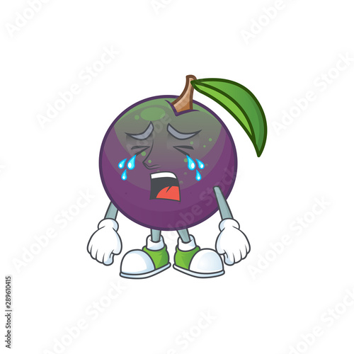 Crying star apple fruit shape character mascot.