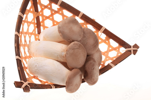 Fresh mushrooms photo