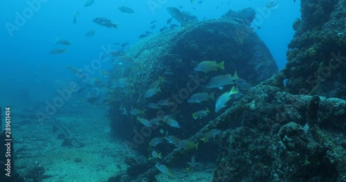 Wallpaper Mural Mazatlan Shipwreck, reefs of Sea of Cortez, Pacific ocean. Isla Cerralvo, Baja California Sur, Mexico. Torontodigital.ca