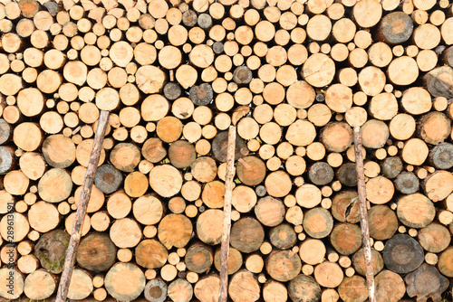 photo firewood