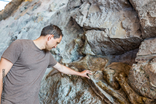 Man touching bones in Quarry visitor center exhibit hall in Dinosaur National Monument Park of fossils on wall in Utah photo