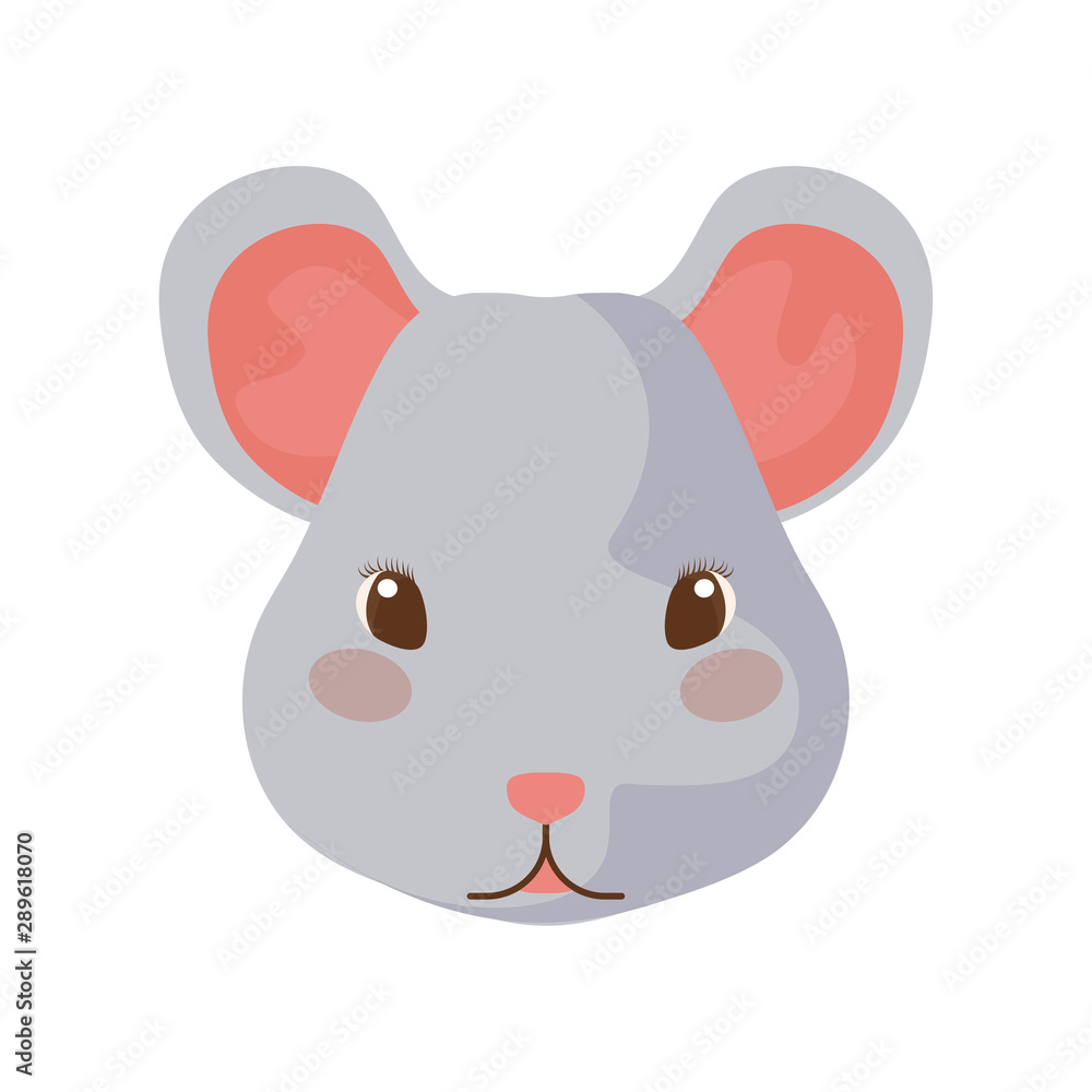 head of cute mouse with white background head of cute mouse with white background