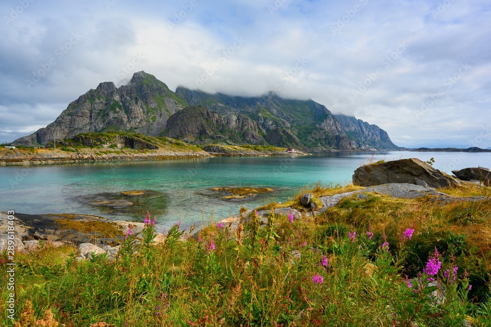 Viewpoint near Henningsvaer, mountains, sea, rocks and flowers during the cloudy sky at Lofoten island, Henningsvær, Norway