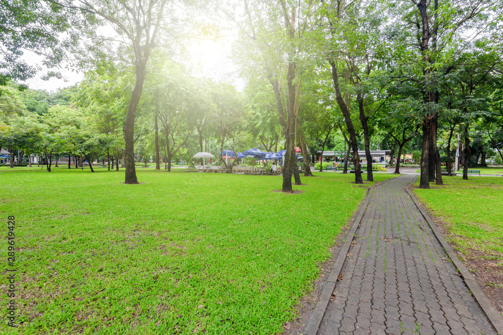 Obraz premium View of the nature park path on a bright day for tourists.