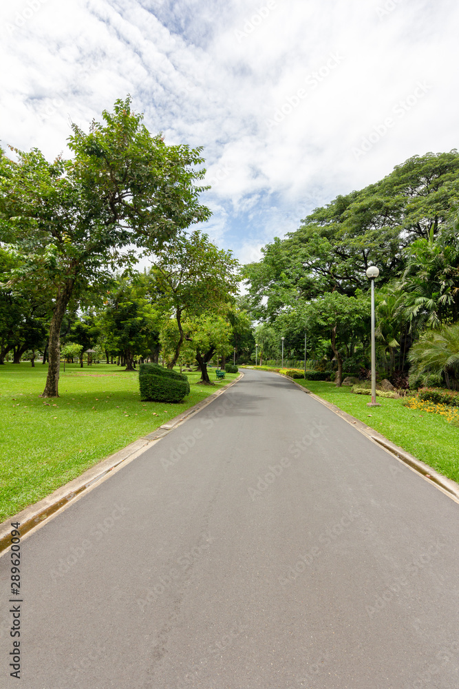 View of the nature park path on a bright day for tourists.