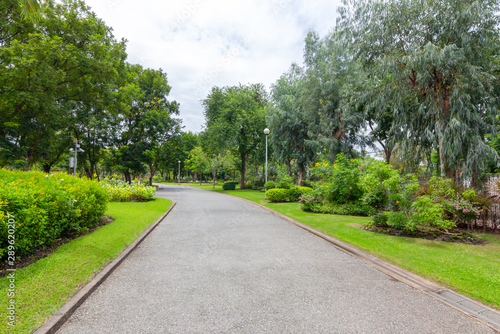 View of the nature park path on a bright day for tourists. View of the nature park path on a bright day for tourists.