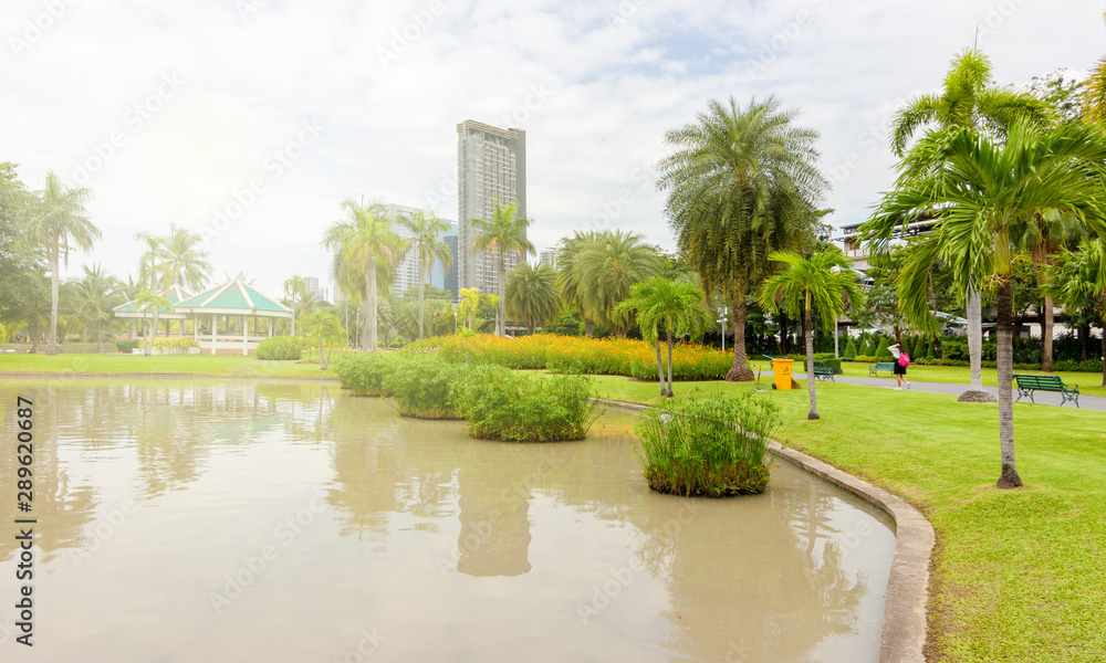 The view of the natural park in the city in the bright evening The view of the natural park in the city in the bright evening