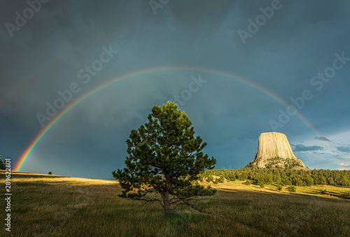 Εκτύπωση καμβά Solo tree and Devils Tower National Monument of Wyoming, USA under the rainbow a