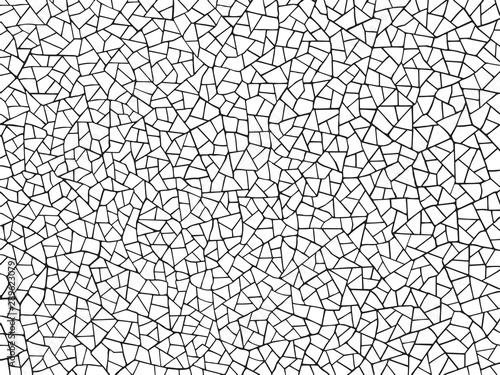 The cracks texture white and black. Vector background.Cracked earth. Structure of cracking. Cracks in dry surface soil texture. shards. mosaic