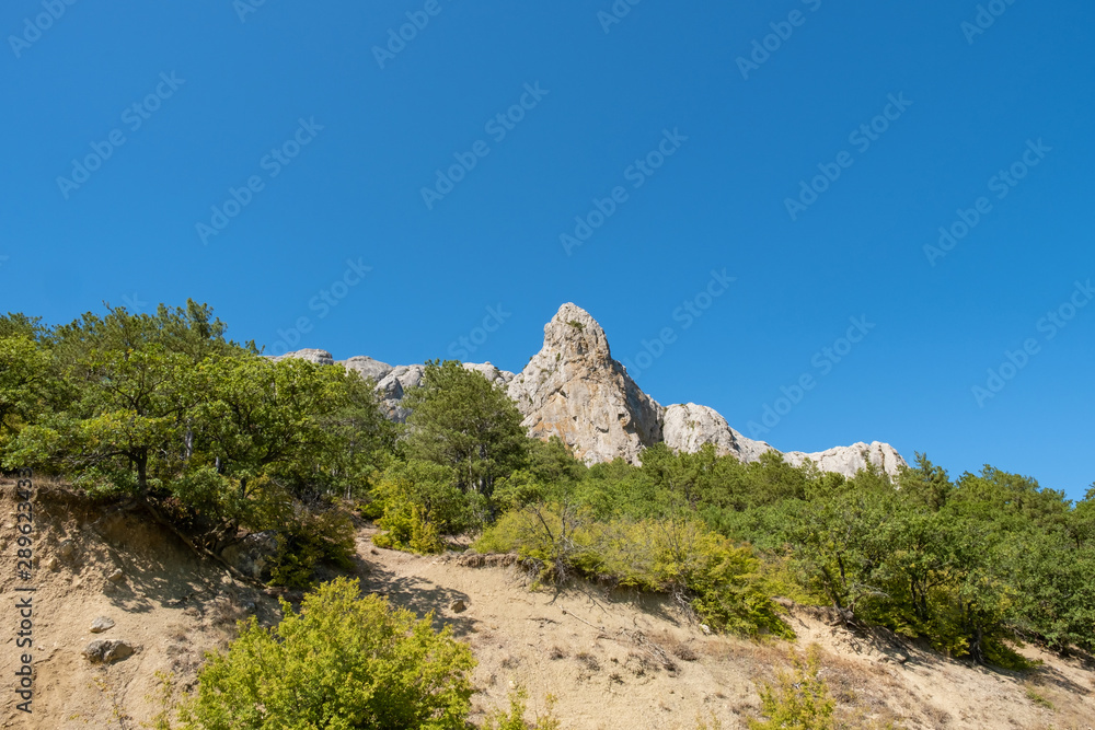 View of the cliffs surrounded by a green forest against a blue sky, Crimea.