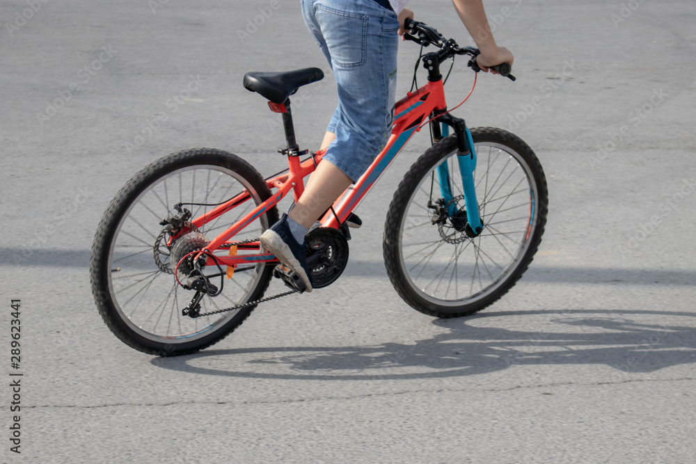 Fototapeta premium Bicycle.