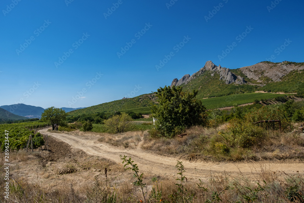 Crimean landscape with mountains and plantations of grapes on a summer sunny day, Crimea.