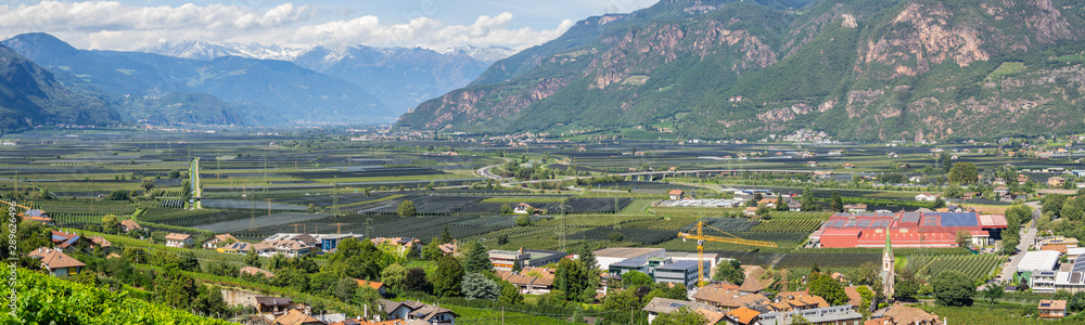 Landscape of fruit of apple and vine plantations in Trentino Alto Adige, North Italy. Green landscape. Natural contest. Intensive cultivations and plantations