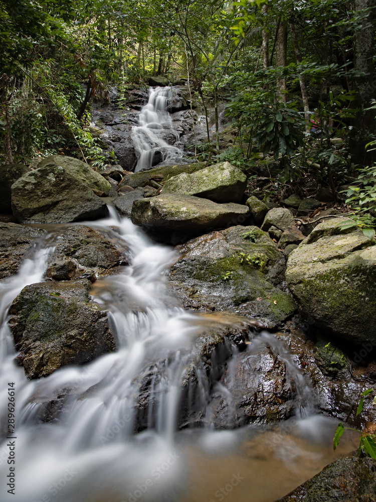 Fototapeta premium nature wildlife waterfall Kathu