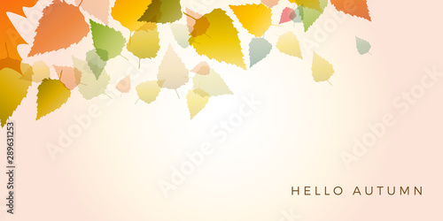 Autumn sale background, layout decorate with leaves of autumn. Poster and frame leaflet or web banner. Vector template.