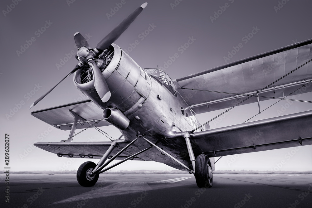 Fototapeta premium historical aircraft on a runway