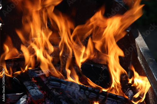 Bonfire, open fire, bright hot flames, burning wood, fire dance