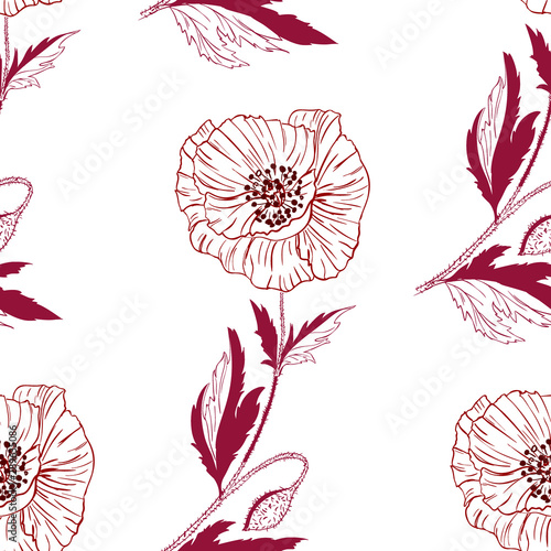 Flourish poppies pattern in line art style. Poppy flower line art. Botanical seamless vector texture. Colorful background blossoming bloomy vector. Wildflowers handcrafted artsy poppy surface design