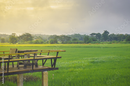 Green background sunrise in Chiang Rai Thailand