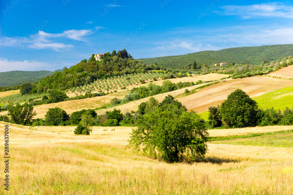 Sunny springtime tuscan country view near Massa Marittima , Italy Sunny springtime tuscan country view near Massa Marittima , Italy