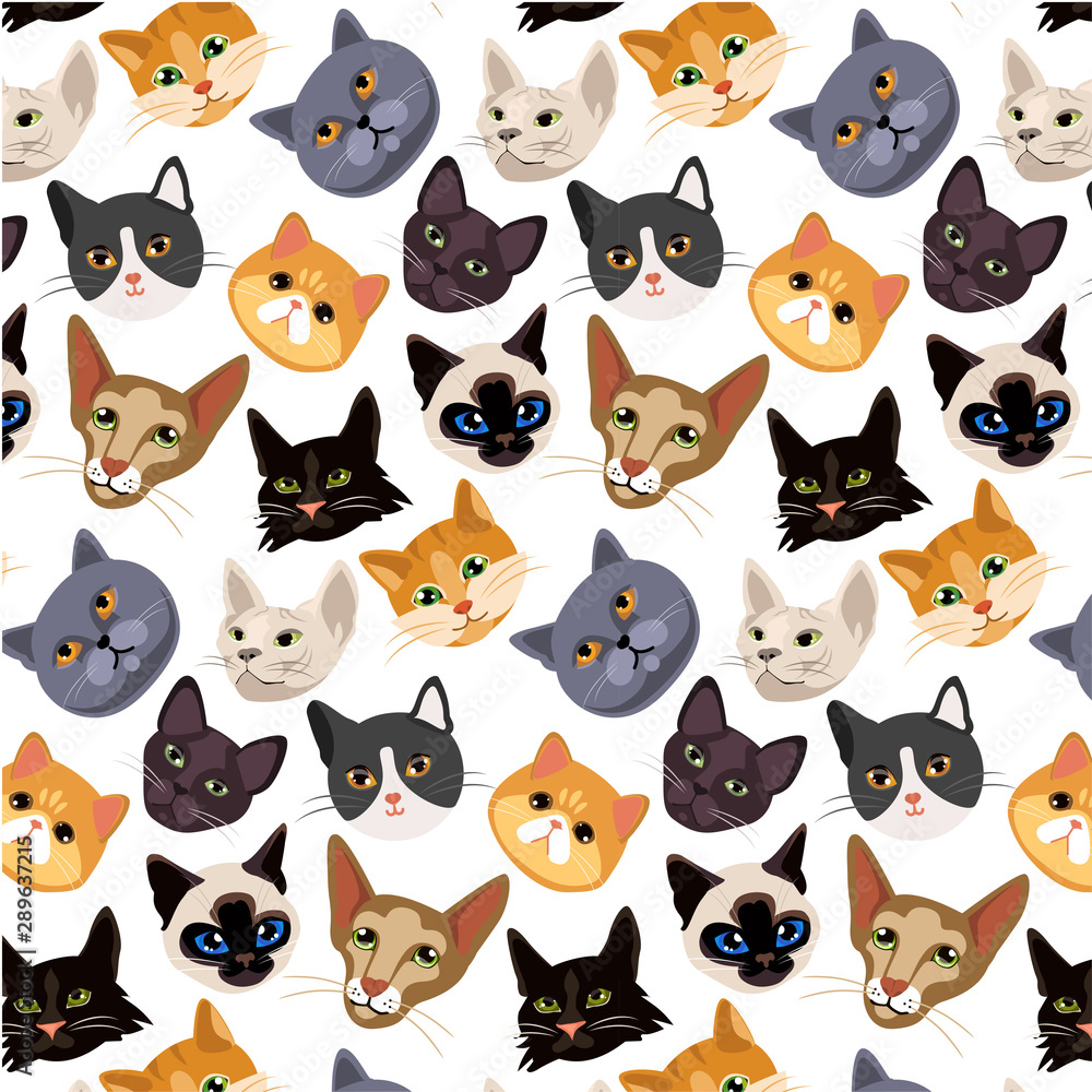 cats heads seamlesss pattern. Set of breeds of cat print from avatars. cute animals, cute vector illustration