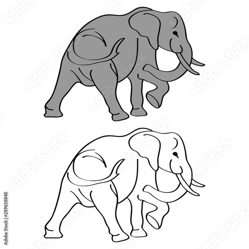 Elephant cartoon isolated on white. African bush or forest elephant and Asian elephant