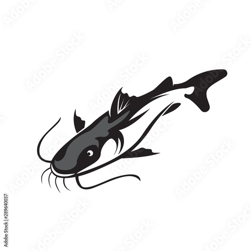 swimming catfish up view logo design inspiration