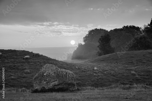 Stunning  black and white Summer sunrise landscape of Neolithic standing stones in English cluntryside with gorgeous light with slight background mist © veneratio