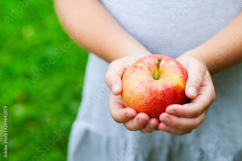 Red apple in little girl's hands. Summer garden background. Copy space.