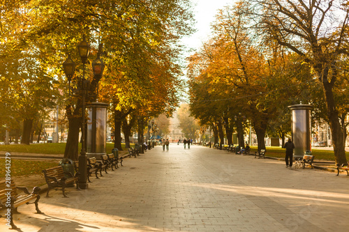 autumn park in the city, morning street