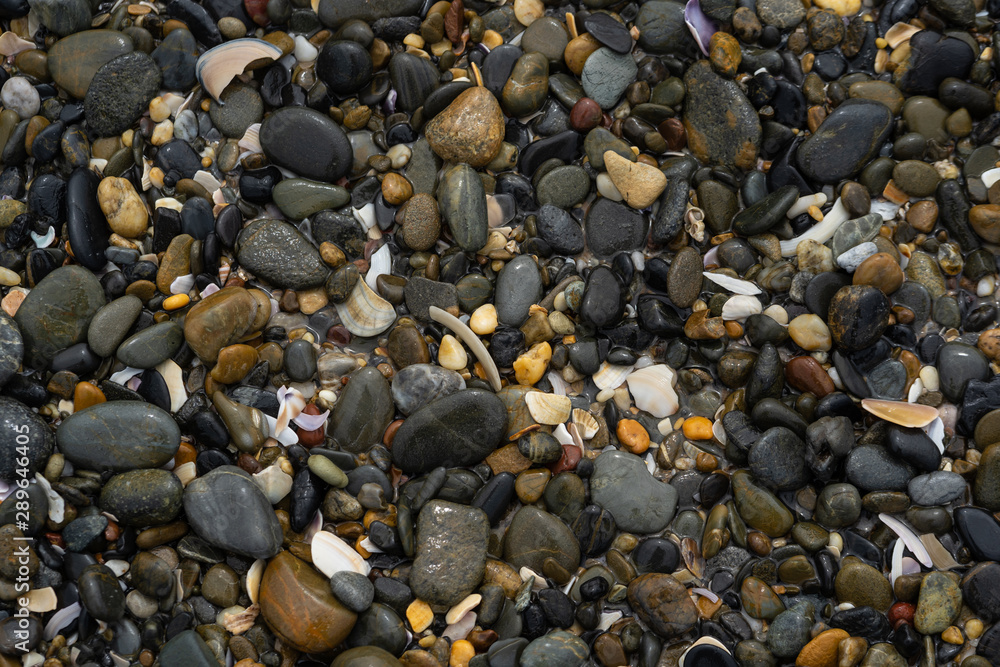 pebbles on the beach pebbles on the beach
