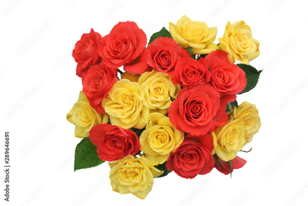Obraz premium Roses posy isolated closeup