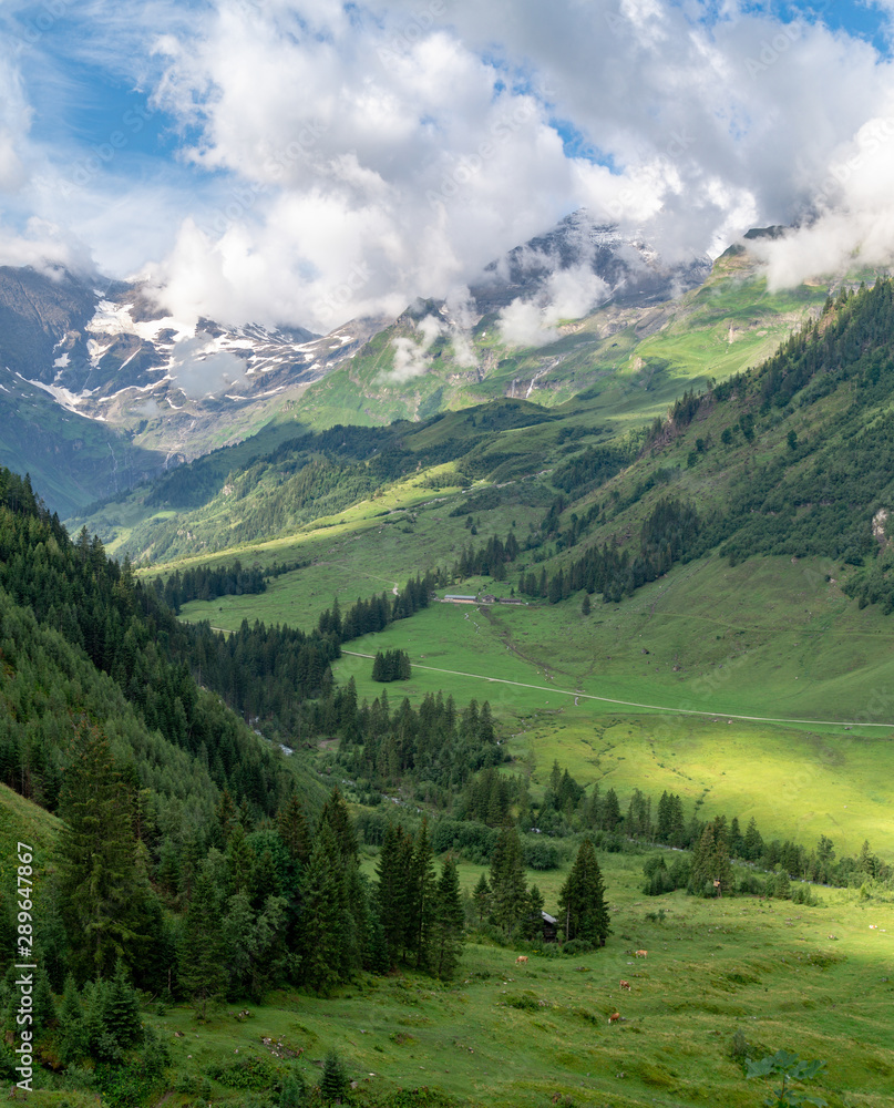 Scenic landscape with green meadows, fir trees and mountains in clouds, Austria Scenic landscape with green meadows, fir trees and mountains in clouds, Austria