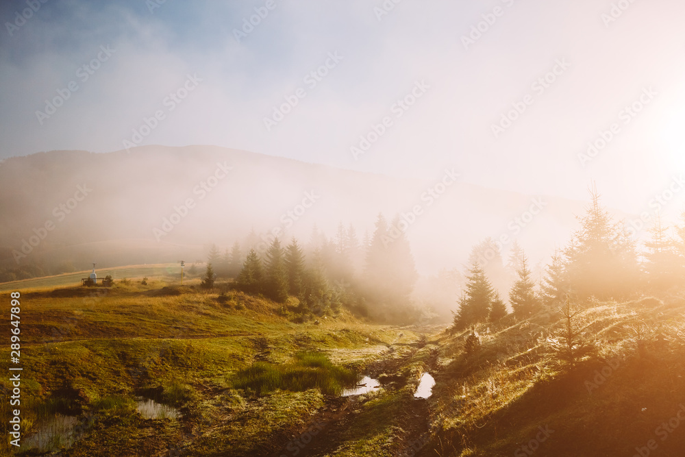 Scenic image of misty valley in the sunlight. Locations Carpathian national park Ukraine. Scenic image of misty valley in the sunlight. Locations Carpathian national park Ukraine.