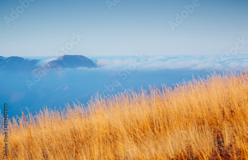 Picture of a scenic valley in morning light. Location Crimean peninsula.