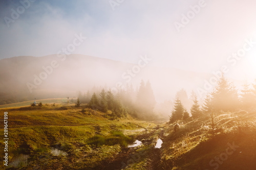 Scenic image of misty valley in the sunlight. Locations Carpathian national park Ukraine.