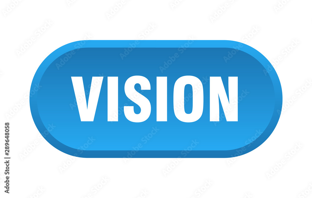 vision button. vision rounded blue sign. vision vision button. vision rounded blue sign. vision