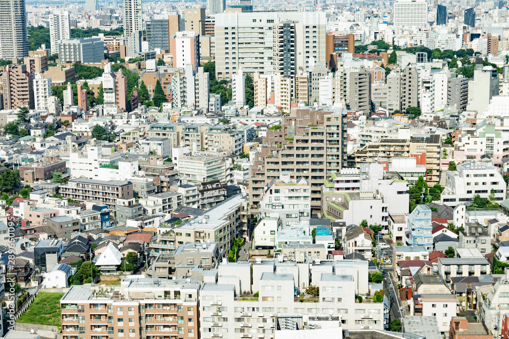 Fototapeta premium 東京 街並み