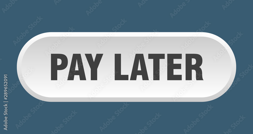 pay later button. pay later rounded white sign. pay later pay later button. pay later rounded white sign. pay later
