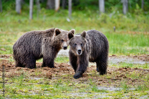 Dynamic duo is on the move.