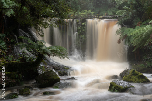 Horseshoe Falls  Mount Field National Park  Tasmania