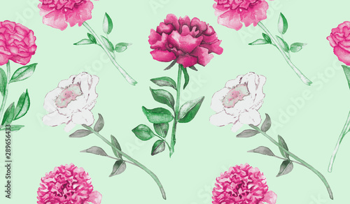 Peony pink flowers and leaves, hand painted watercolor illustration, seamless pattern design on white background