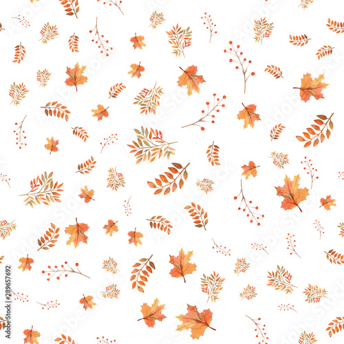 Seamless autumn leaves background  berries on white isolated background. Watercolor illustration