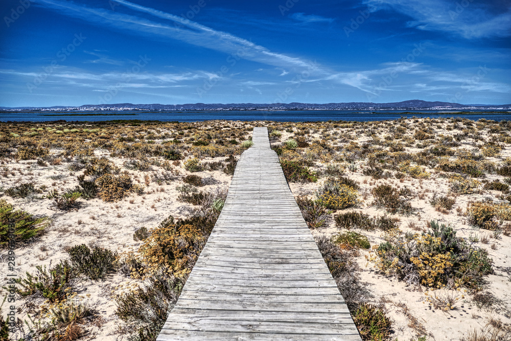 Wooden path to the sea in the desertic sands of Ilha Deserta in Faro, Portugal